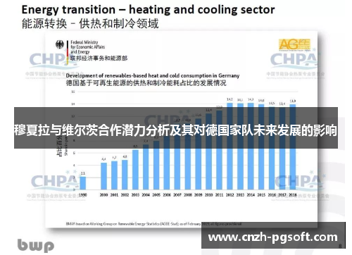 穆夏拉与维尔茨合作潜力分析及其对德国家队未来发展的影响